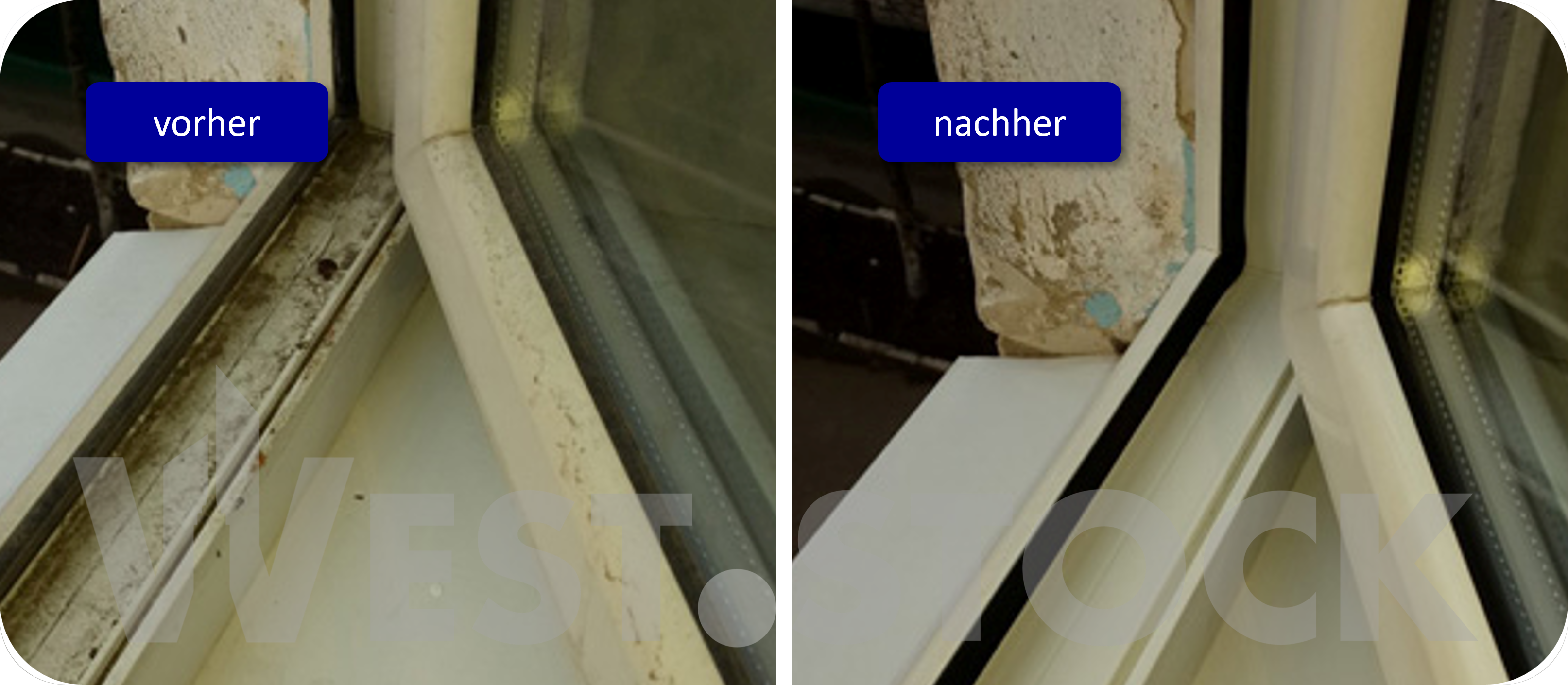 fensterreinigung_weststock_8