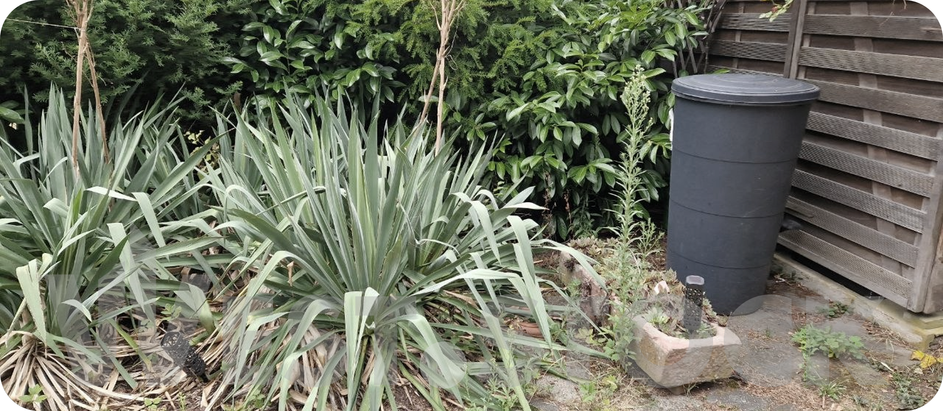 gartenpflege_weststock_5