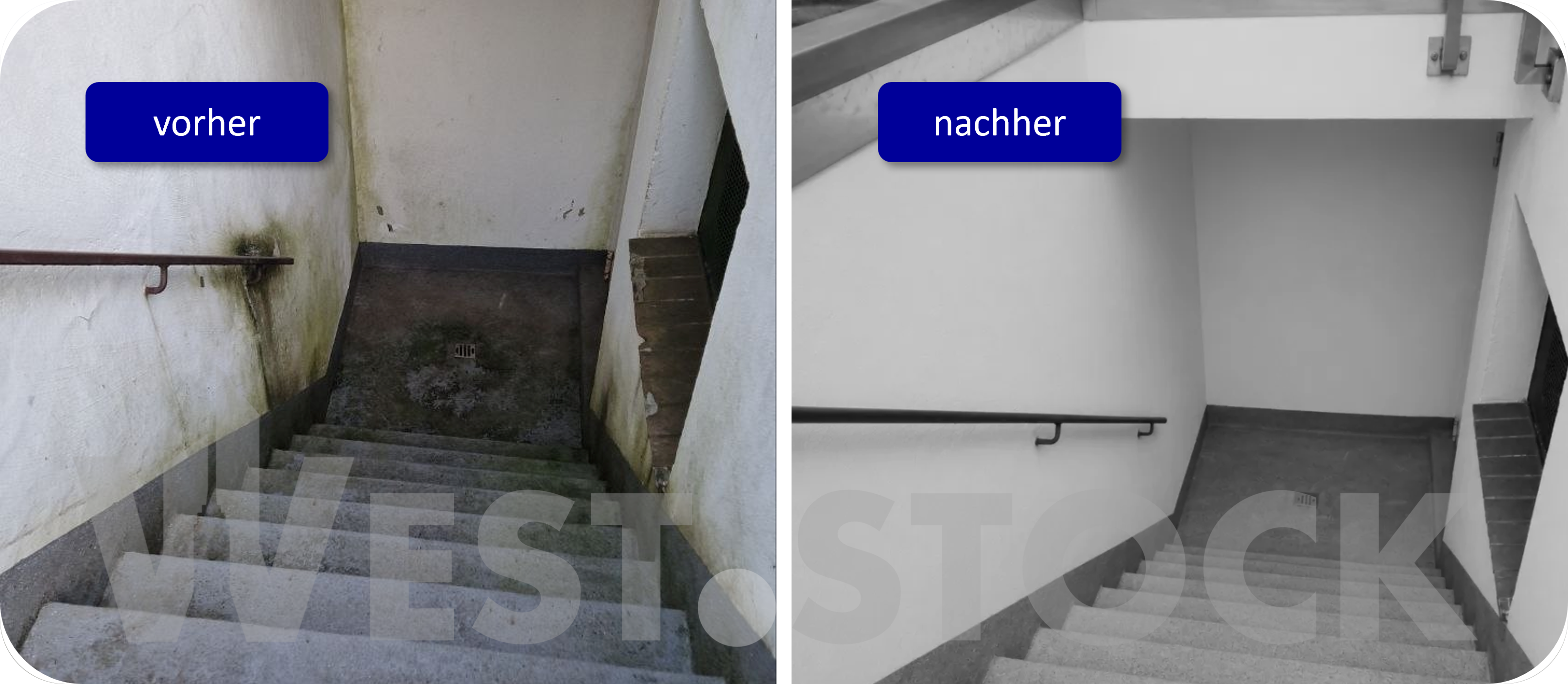 sonderreinigung_weststock_1